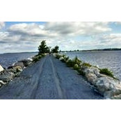 Susan Sweeney Peoples's photo