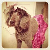 Barbra Magerman's photo