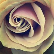 C. San Juan's photo