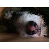 Foto de Dawn Mccafferty