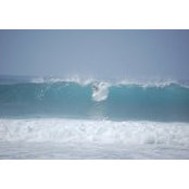 Ryan Mau's photo