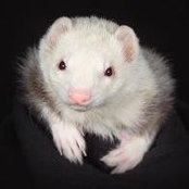Cher Fairley-Glaser's photo
