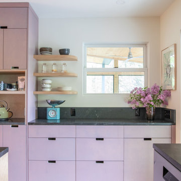 Midcentury Kitchen Countertop