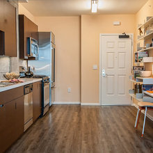 Adam's Apartment