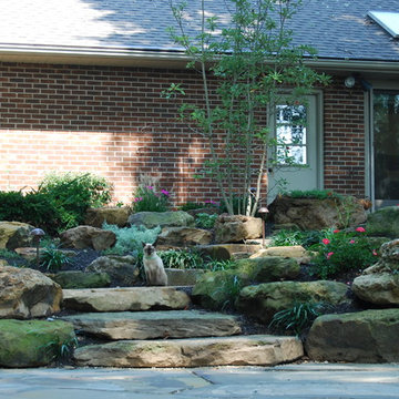 Natural Backyard