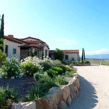 Santa Ynez Vineyard