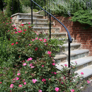 Steps and Walkway