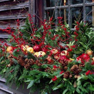 Winter Windowboxes