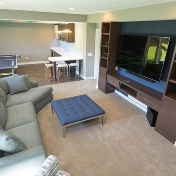 Fall 2017 Remodelers Showcase Lower Level Dream Project