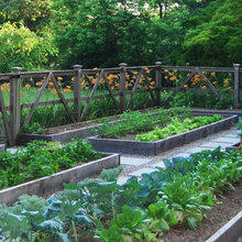 Vegetable Gardens