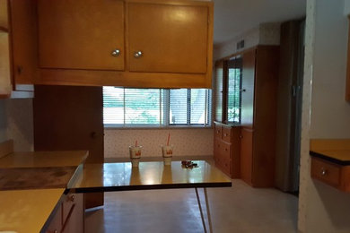 Example of a mid-century modern home design design in St Louis