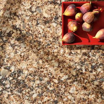 Cambria's Canterbury Quartz Kitchen Countertops