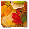 "Autumn Leaves No. 1" Outdoor Art