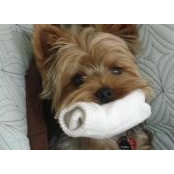 Mary Baldauff's photo