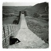 Haadia Farooqui's photo