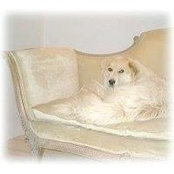 Carol Richman's photo