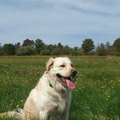 Laura Blaney Kaul's photo