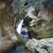 Foto di Pat Eli