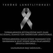 Talha Hatipoglu's photo