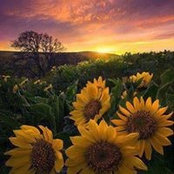 Samuel Millens's photo