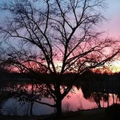 Patti Jerman's photo