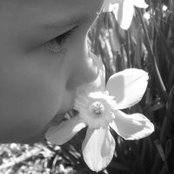 Foto von Kelly Skinner