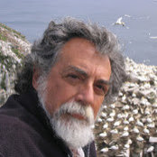 Mark Krauses billede