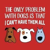 Kathy Carpenter's photo