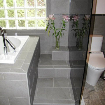 Charlotte Master Bath renovation - Ballantyne