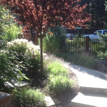 Outdoor Entrance Landscape in Incline Village, NV