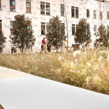 Greening the urban jungle