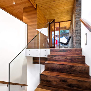 Mid-Century Modern Home