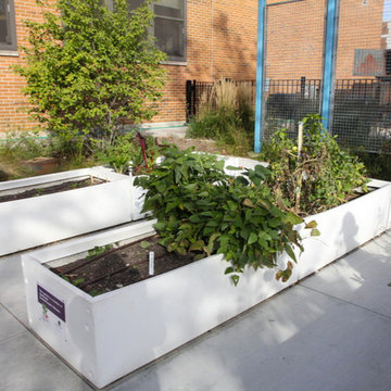 The Kitchen Community School Garden Design and Installation