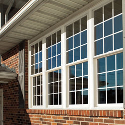 replacment windows - Windows