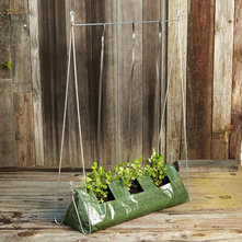 Contemporary Outdoor Pots And Planters by Williams-Sonoma