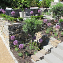 Garten Kräuterhochbeet