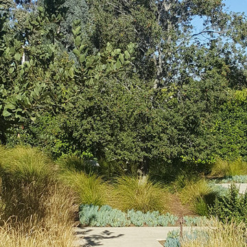 Residential-Landscape-Planting-Paving-Design-VDG