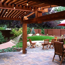 back yard