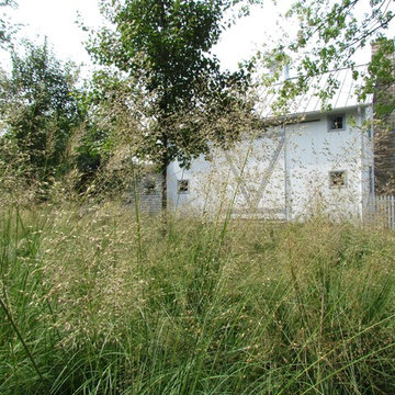Ornamental grass island