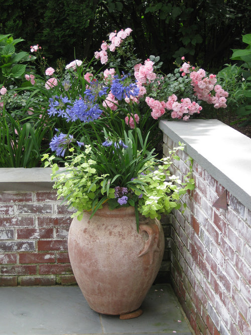 Olive Jar Home Design Ideas, Pictures, Remodel and Decor