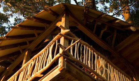 A Tepee in the Trees Defies the Ordinary
