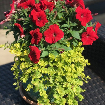 Plantings