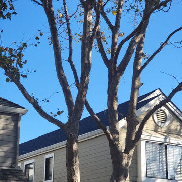 Roof Replacement - Alameda, CA