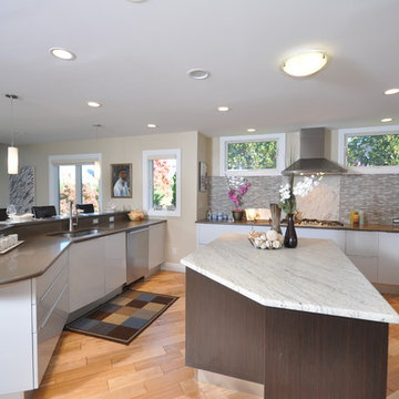 Contemporary Kitchen Addition