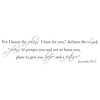 Decal Wall For I Know The Plans I Have For You Jeremiah 29:11, Black