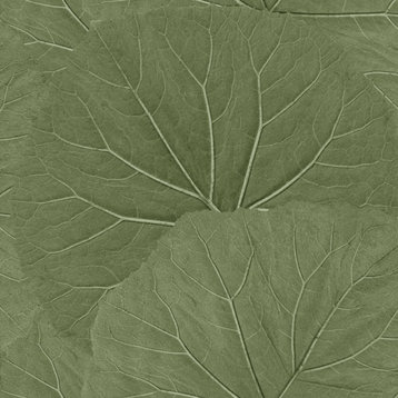 Xylem Olive Large Leaves Wallpaper Bolt