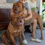 Alessandro Accorsis foto