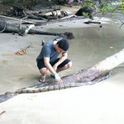 Diego Barquero's photo