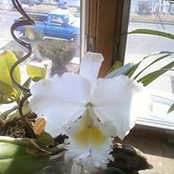 Foto von Kathy Knott