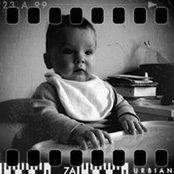 Bart Zonnevelds foto